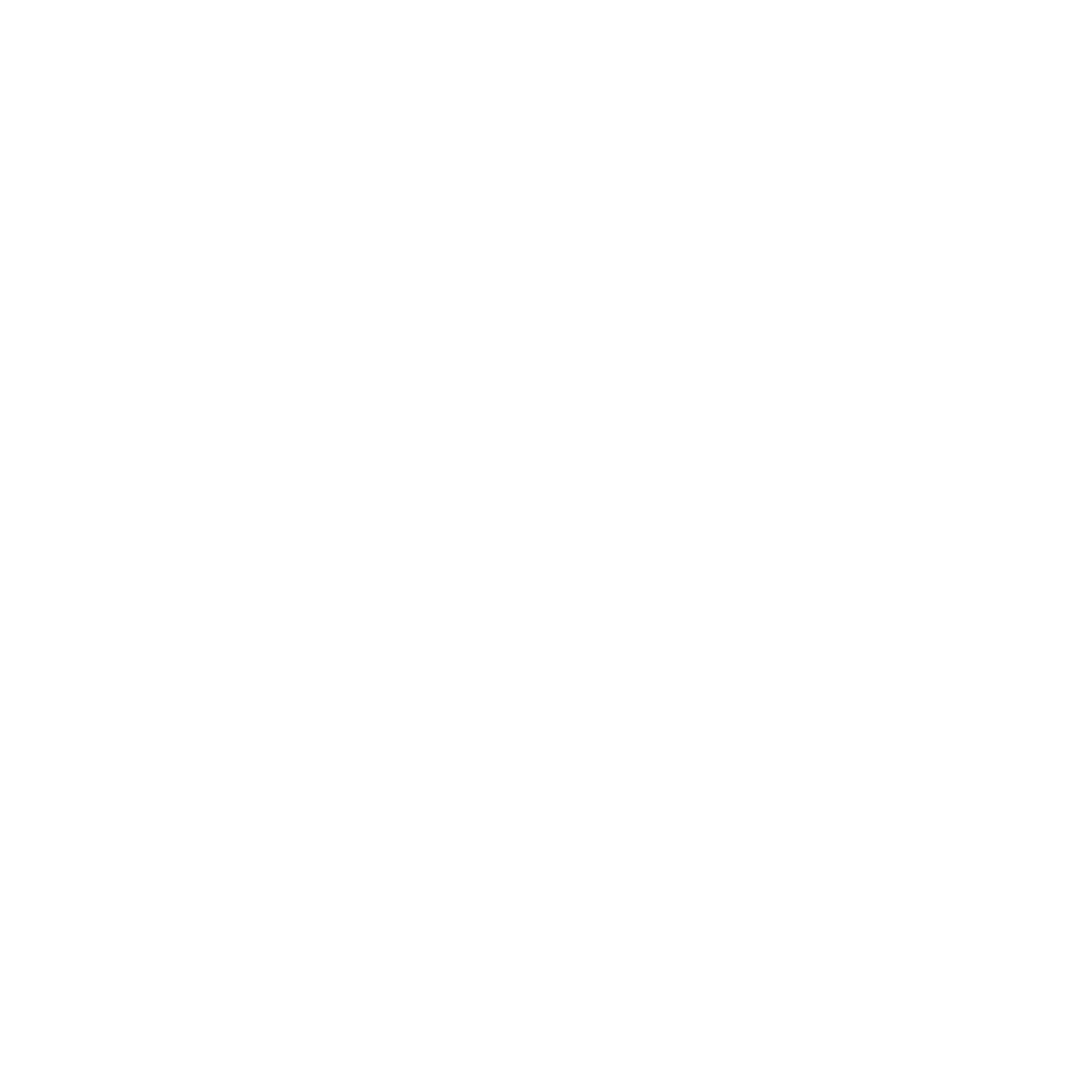 LG Consulting Logo in white